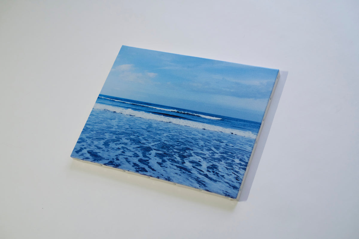 29飯田エリカ写真展「あたらしい命」キャンバス