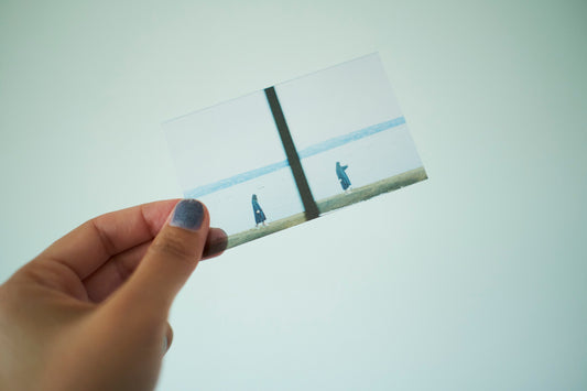 中尾有伽写真展「回生」スマホに入るクリアカード(4枚入り)