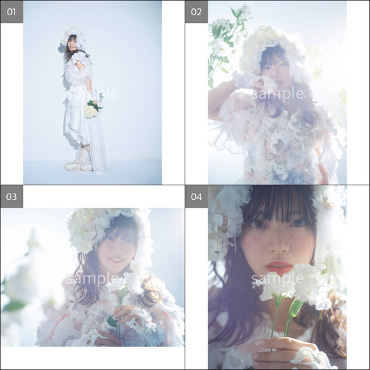 真楪伶10th Anniversary写真展「星霜に咲く軌跡」展示作品