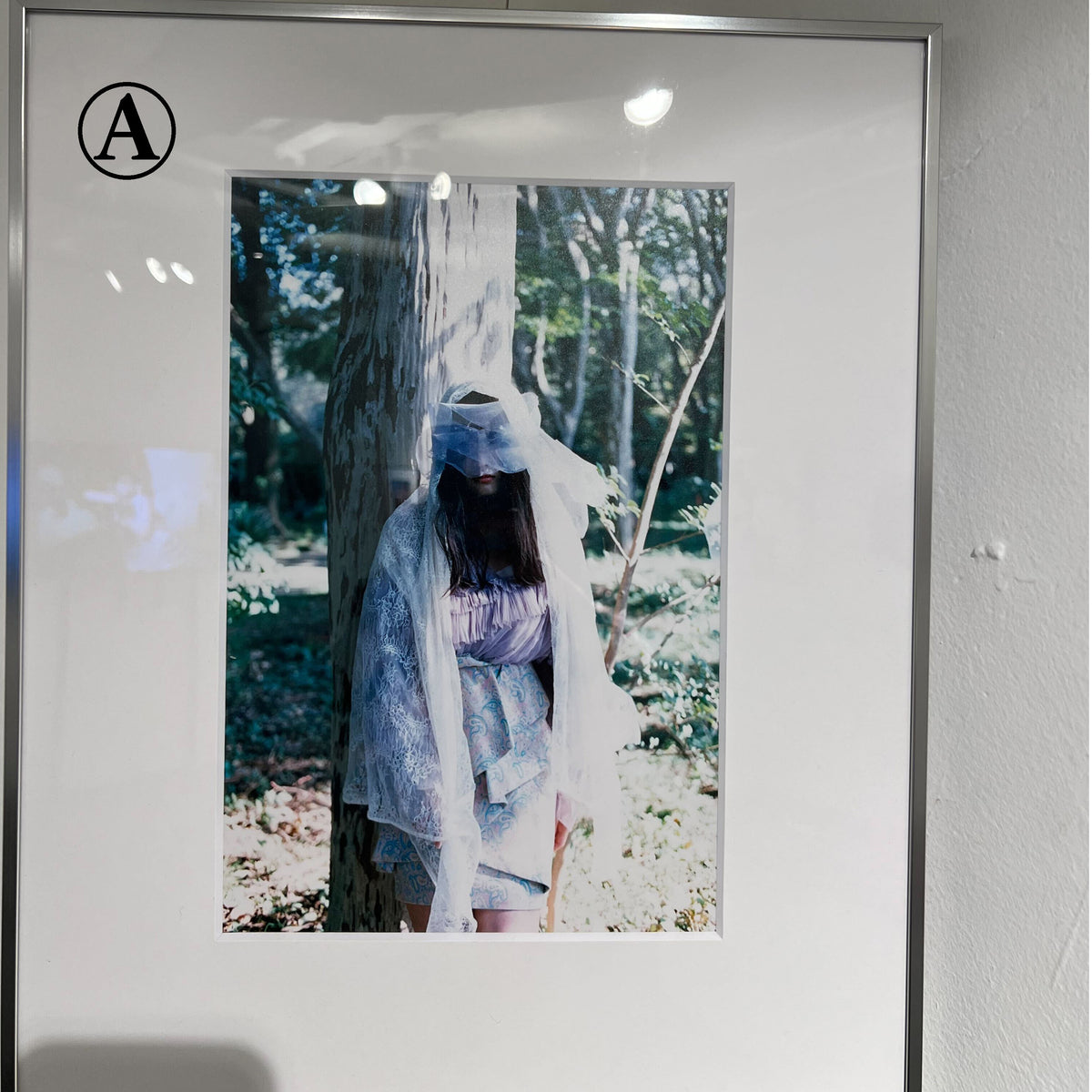 古林南「Coronation 」：額装四つ切フィルム写真