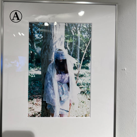 古林南「Coronation 」：額装四つ切フィルム写真