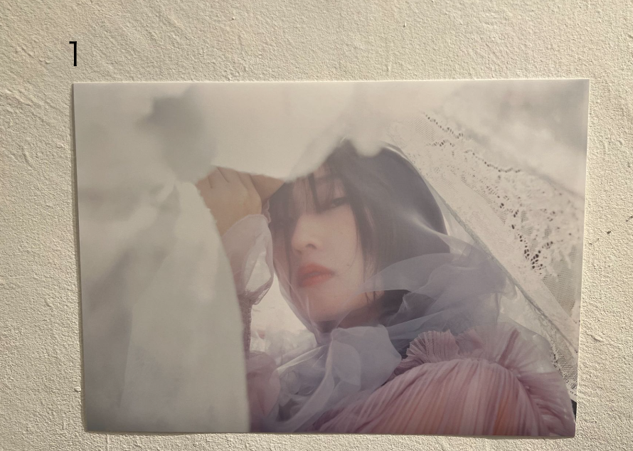 古林南写真展「Coronation」：A3プリント
