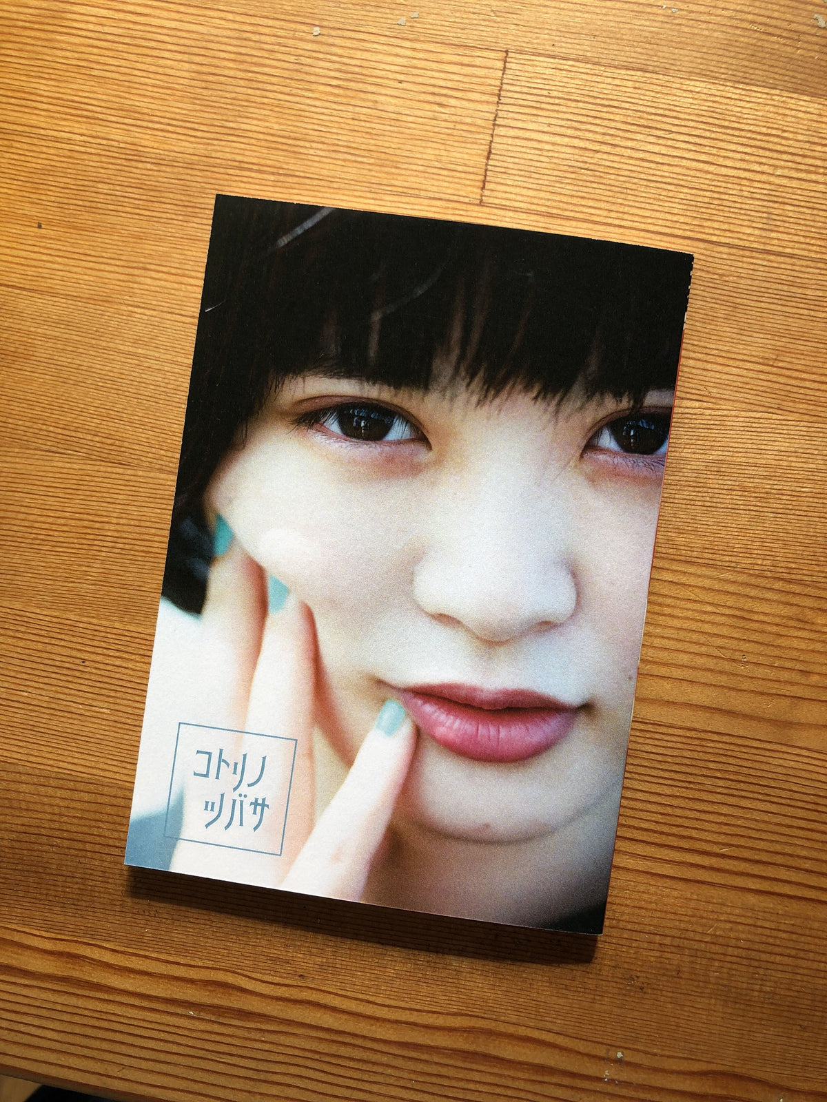 苺谷ことり「コトリノツバサ」：ZINE