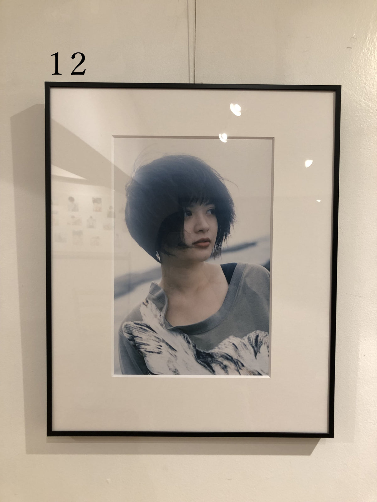苺谷ことり写真展「コトリノツバサ」：展示作品