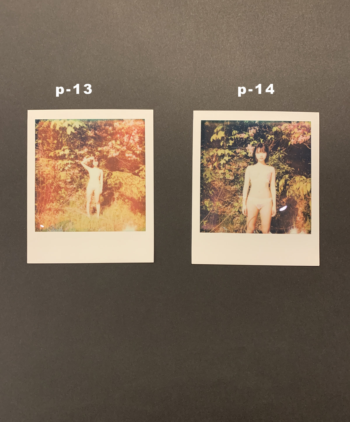 戸田真琴×飯田エリカ写真集「神画」写真展 ポラロイド