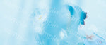202604_D031-1