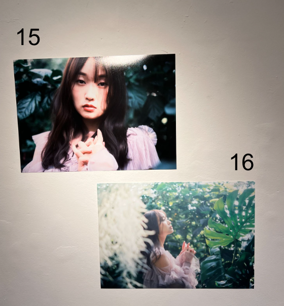 古林南写真展「Coronation」：A3プリント