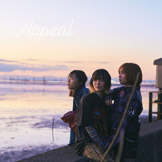 appeal   /   ZINE