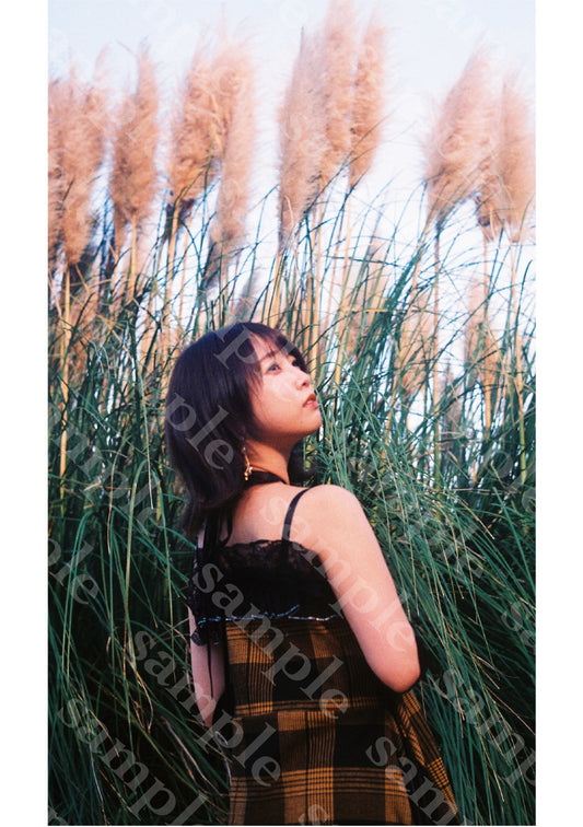 1月号「ORION」