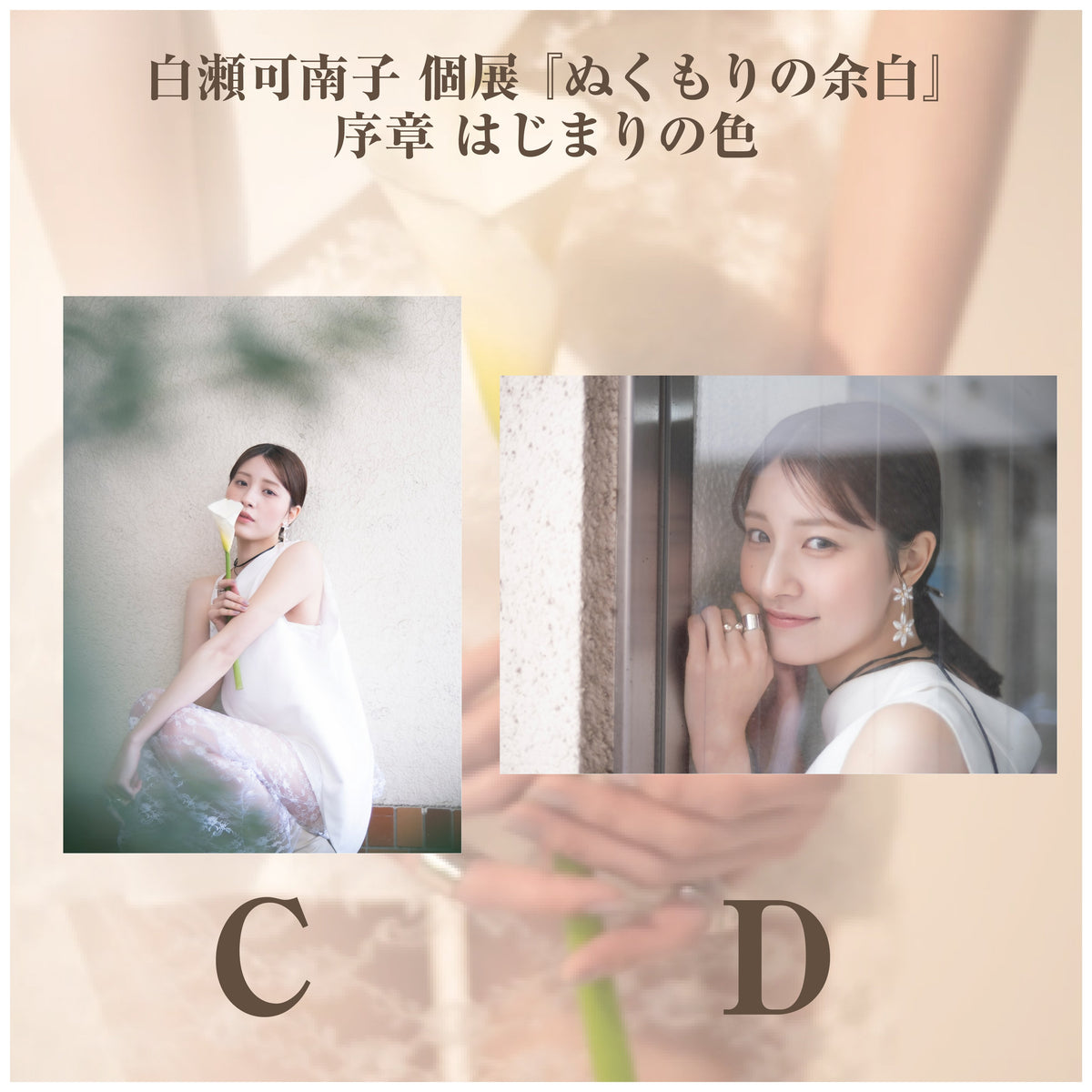 白瀬可南子 個展 『ぬくもりの余白』_江嶋綾恵梨作品