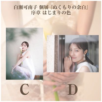 白瀬可南子 個展 『ぬくもりの余白』_江嶋綾恵梨作品