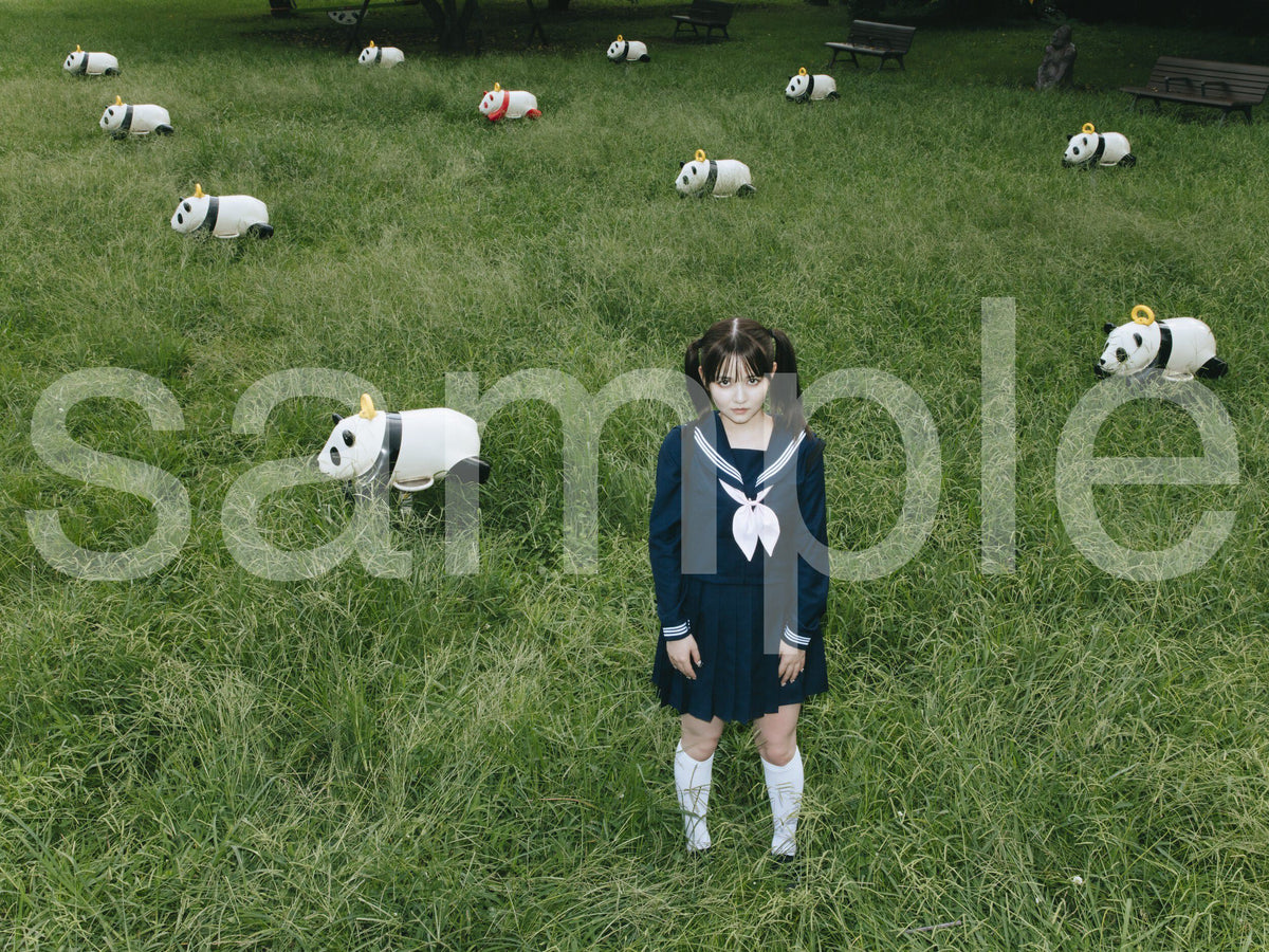 die with twin tails on panda noa-C