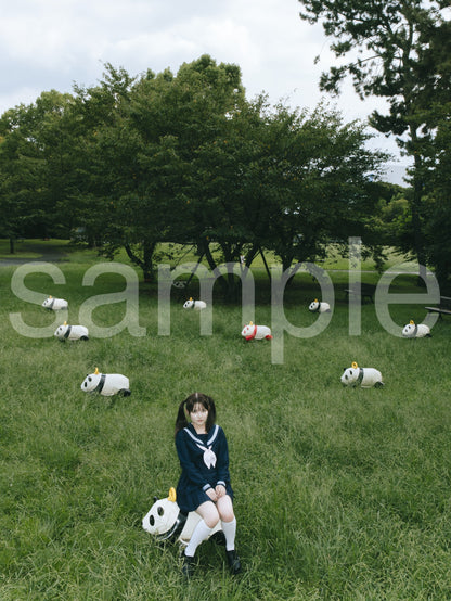 die with twin tails on panda noa-B