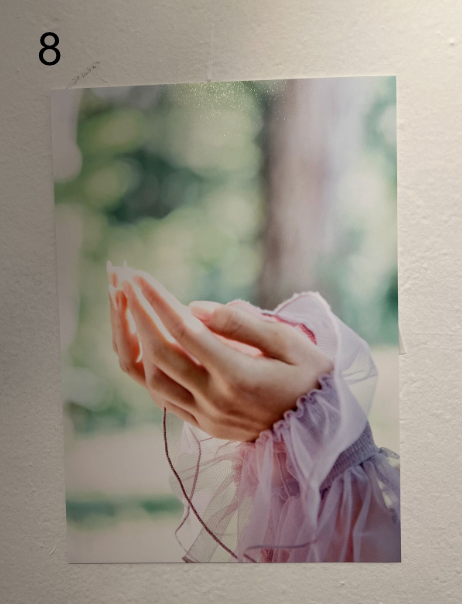 古林南写真展「Coronation」：A4プリント