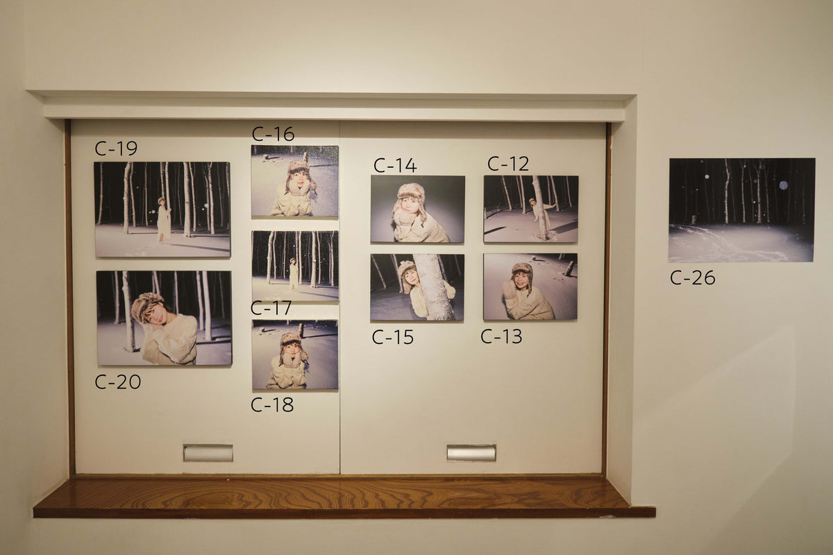 真奈生誕記念写真展『冬に生まれた女の子』展示作品C