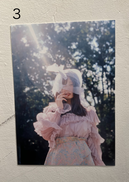 古林南写真展「Coronation」：A4プリント