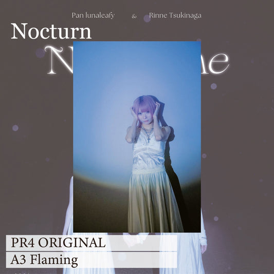 Nocturn_PAN04_ORIGINAL