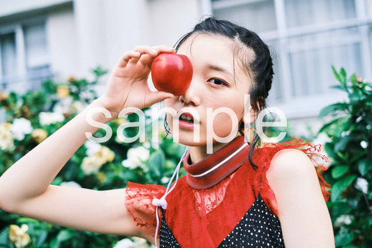 A3 apple 2