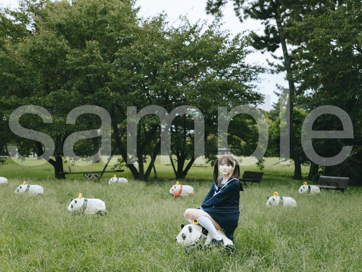 die with twin tails on panda noa-A