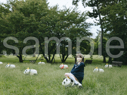 die with twin tails on panda noa-A
