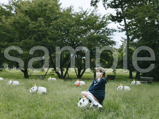 die with twin tails on panda noa-A