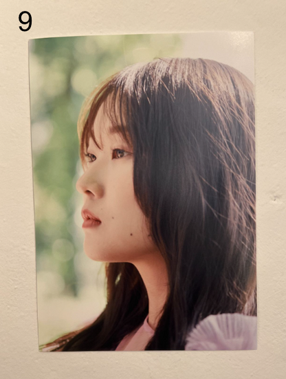 古林南写真展「Coronation」：A4プリント