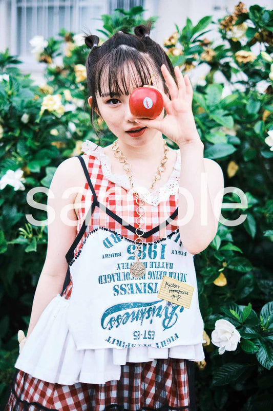 A3 apple 3